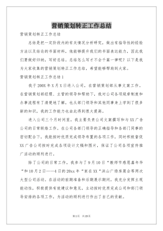 营销策划转正工作参考总结