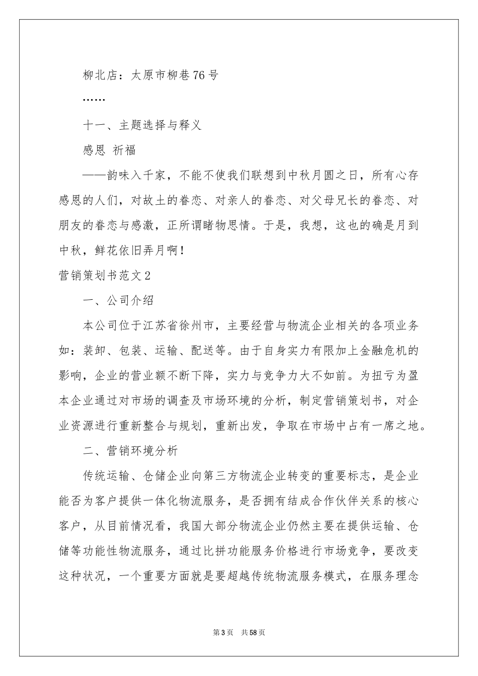 营销策划书范本_第3页