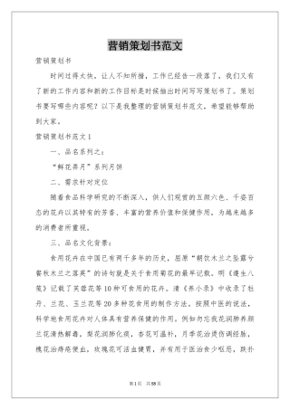 营销策划书范本