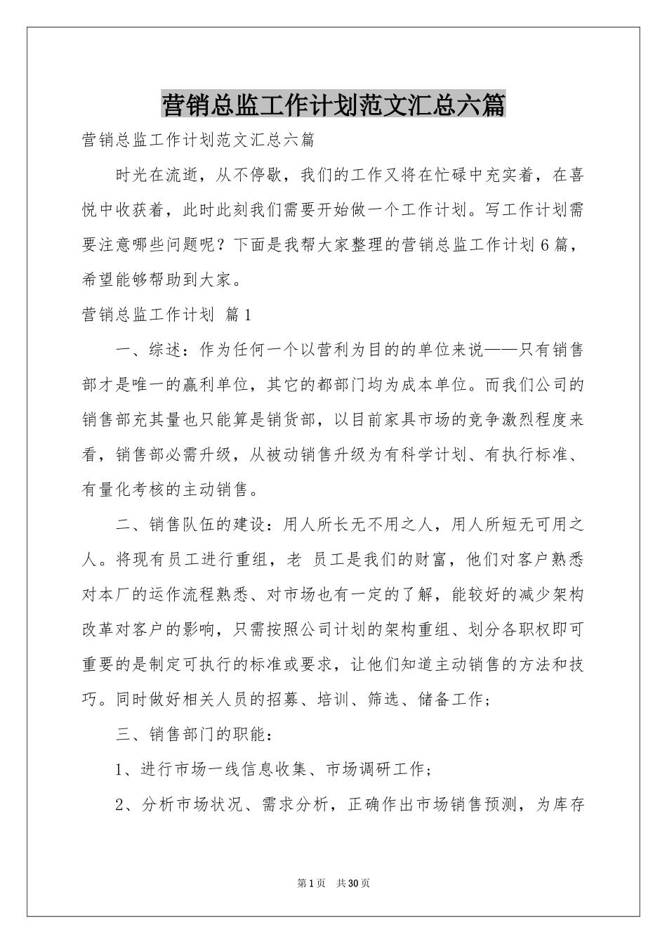 营销总监工作参考计划范本汇总六篇_第1页