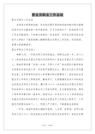 营业员职业工作参考总结