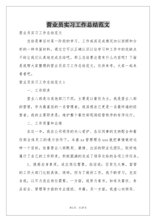 营业员实习工作参考总结范本