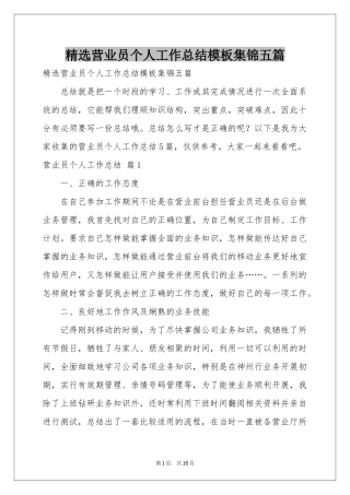 营业员个人工作参考总结模板集锦五篇