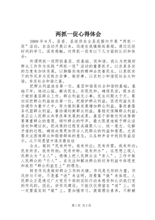 两抓一促心得体会