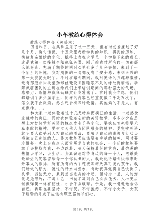 小车教练心得体会