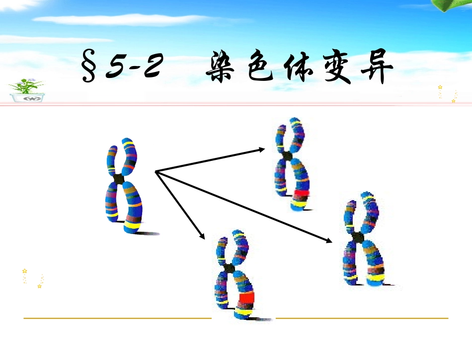 5.2《染色体变异》-课件2-王利_第1页