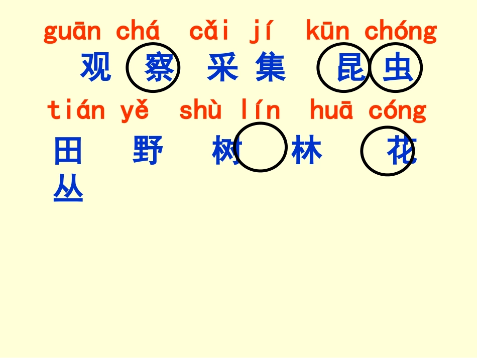 识字4-(2)_第2页