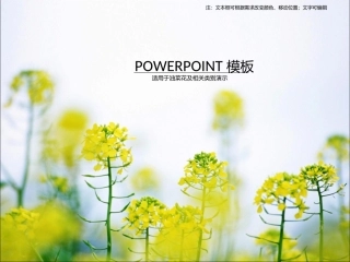 ppt4550