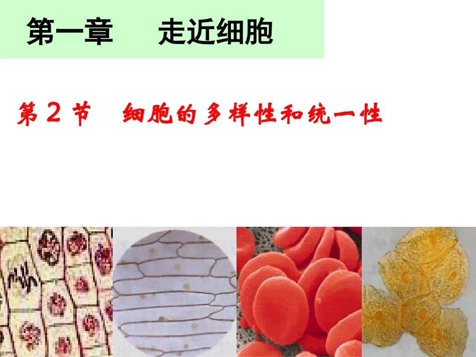 细胞的多样性和统一性课件_第1页