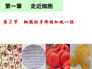 细胞的多样性和统一性课件