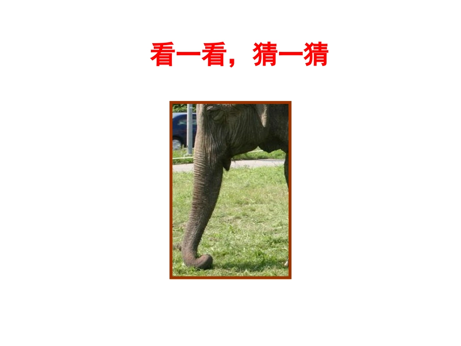二年级上册《观察物体》(1)_第2页