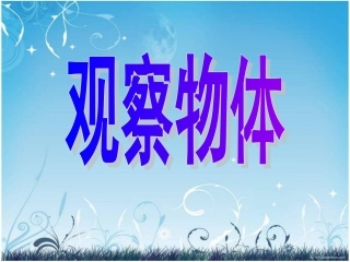 二年级上册《观察物体》(1)