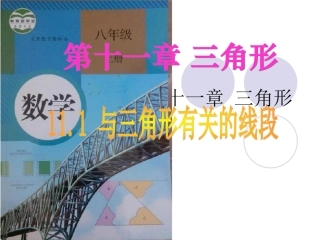 课件.1.1.三角形的边