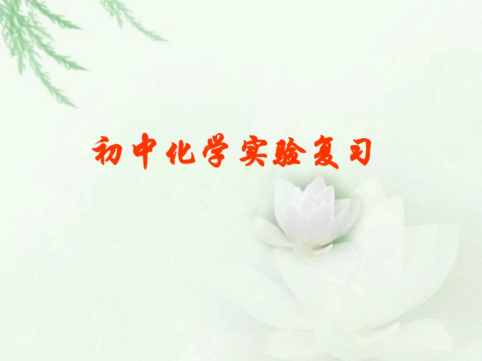 人教版初中化学实验复习_第1页