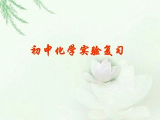 人教版初中化学实验复习
