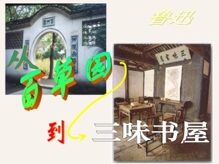 从百草园到三味书屋111