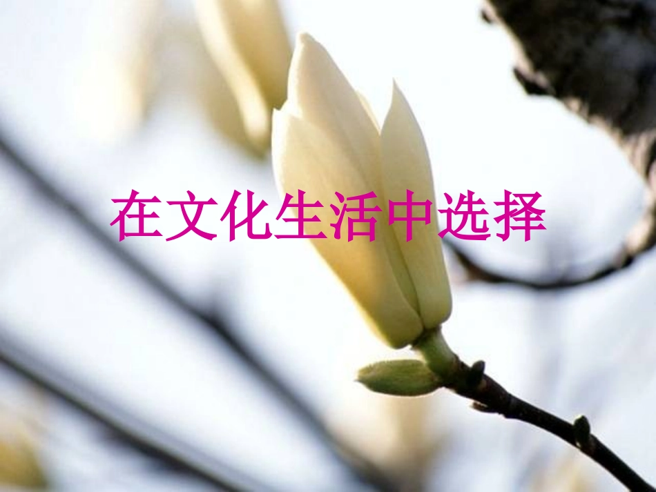 8.2在文化生活中选择(最新修改)_第2页