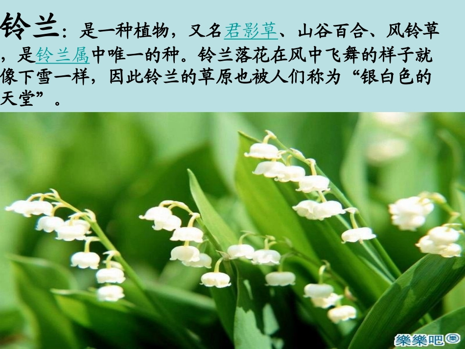 7-我不是最弱小的课件_第3页