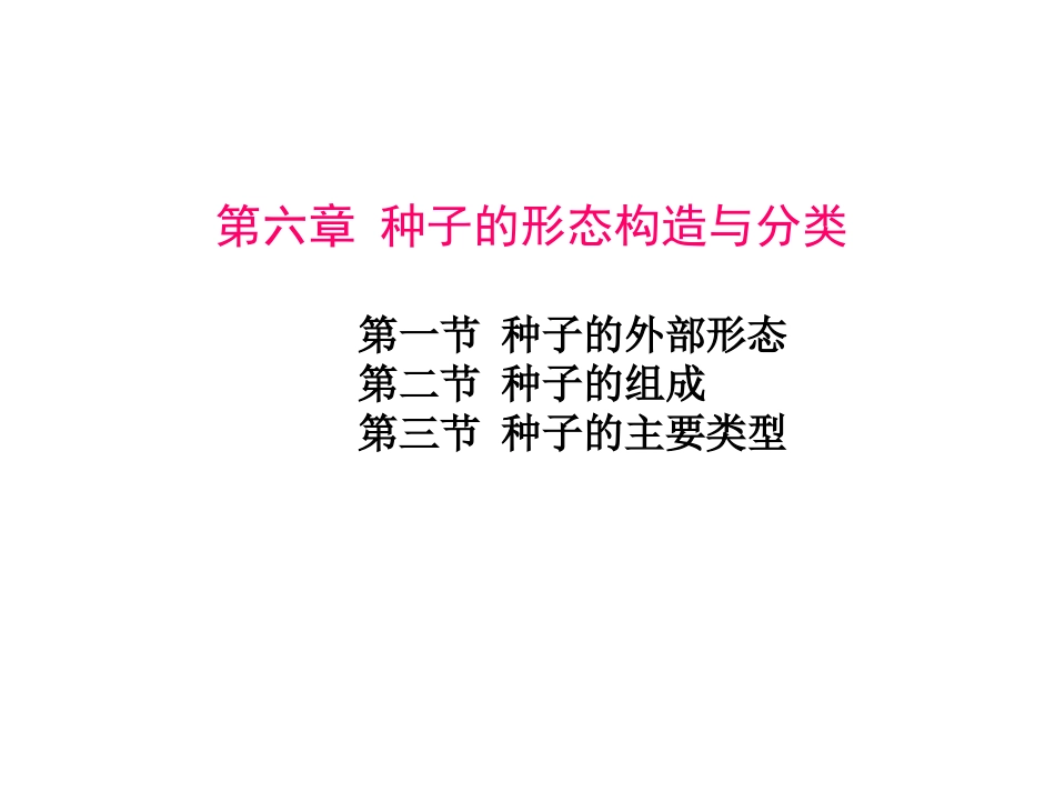 第六节-种子_第1页
