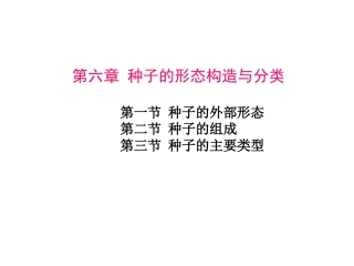 第六节-种子