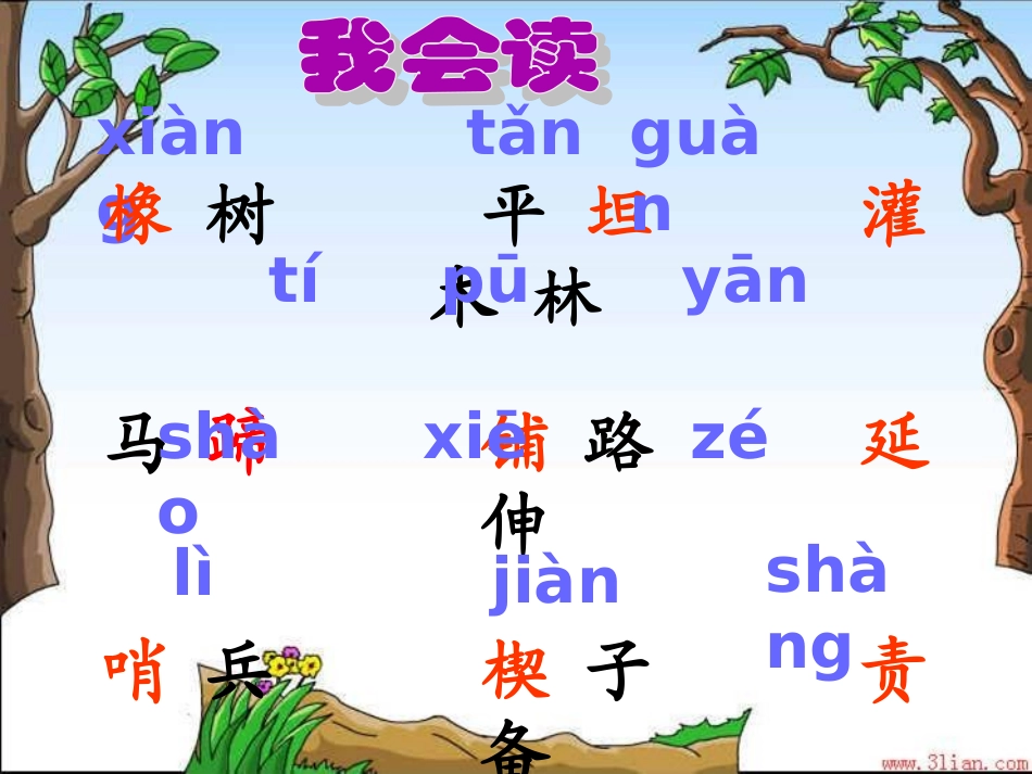 8.路旁的橡树课件_第3页