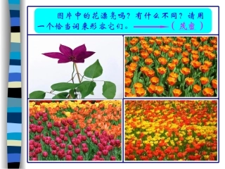 人美版小学美术二年级下册《茂密的花》课件)