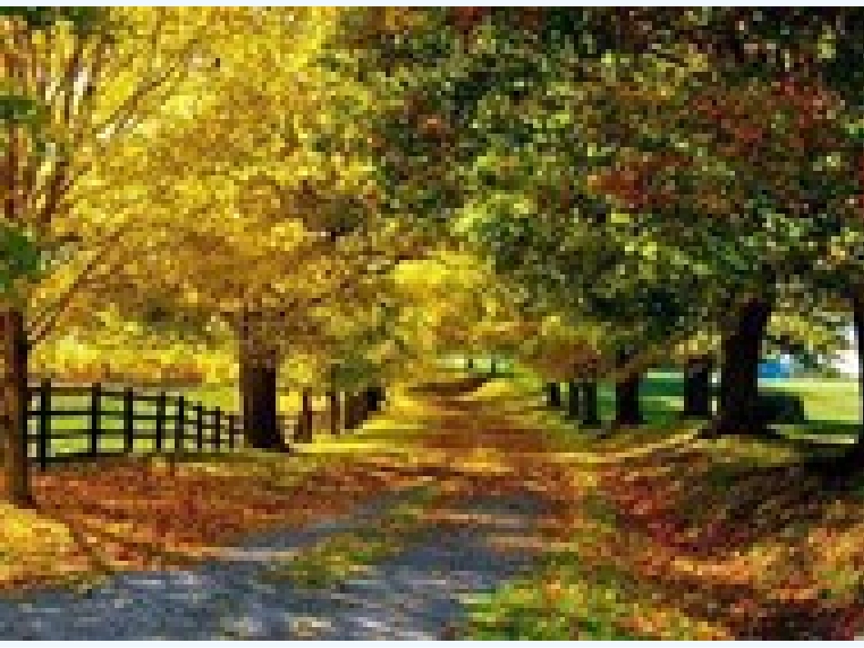 (部编)人教2011课标版一年级上册4.《四季》_第1页