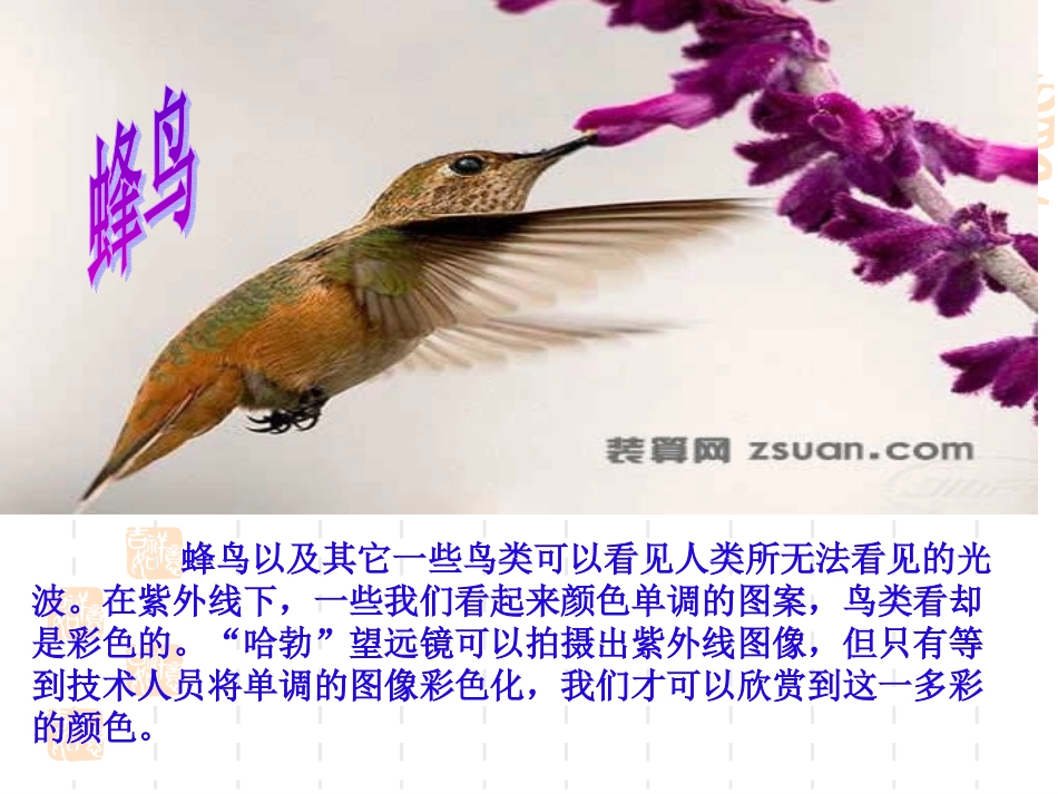15-1探索人生的真谛_第3页