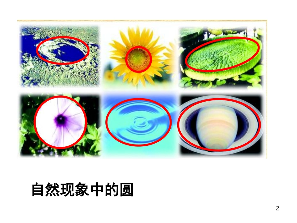 吴发明圆的认识_第2页