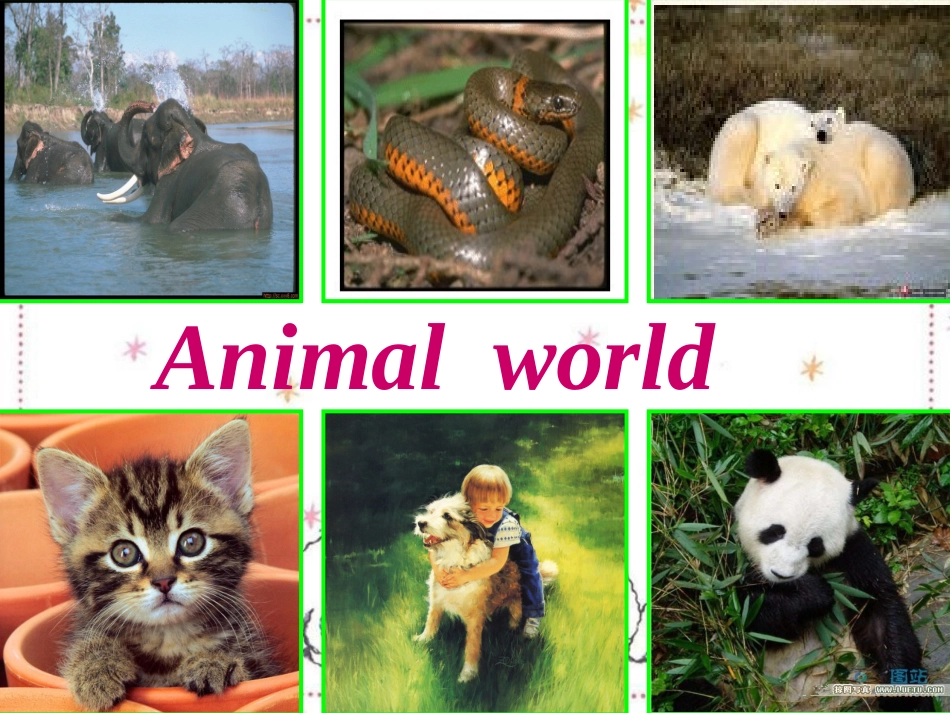 Pandas-love-bamboo!_第2页