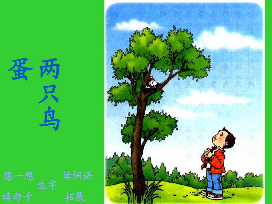 新课标人教版第二册语文两只鸟蛋优秀课件下载4_第1页