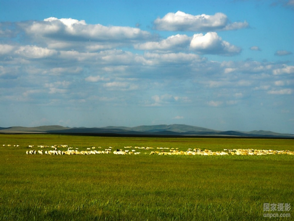 2015语文A版语文三上《敕勒歌》ppt课件2_第2页