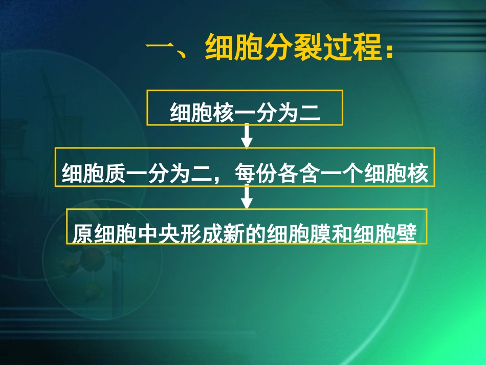 细胞通过分裂产生新细胞_第2页