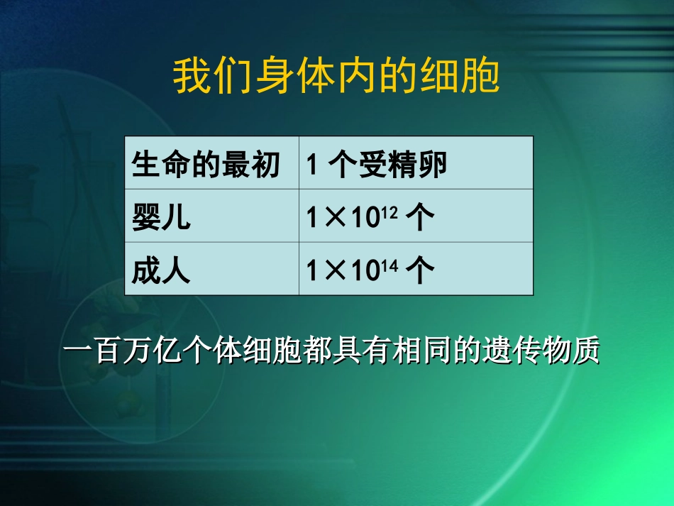 细胞通过分裂产生新细胞_第3页
