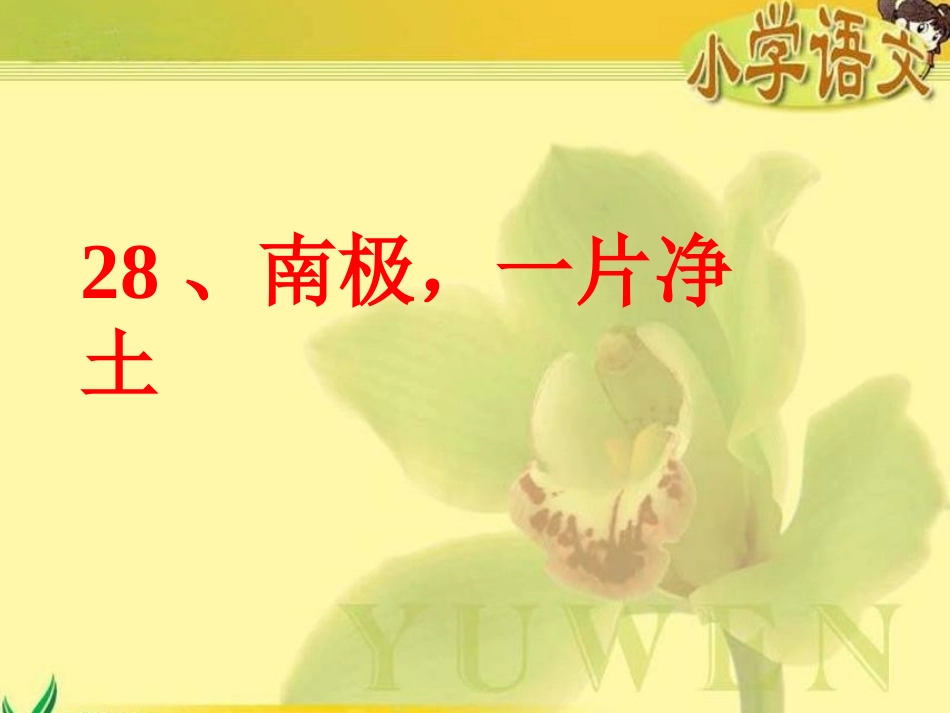 28、南极-一片净土_第1页