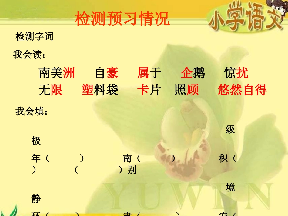 28、南极-一片净土_第2页