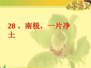 28、南极-一片净土