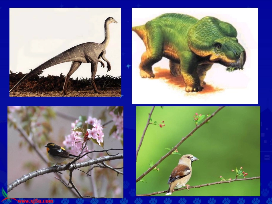 《飞向蓝天的恐龙》教学演示课件_第2页