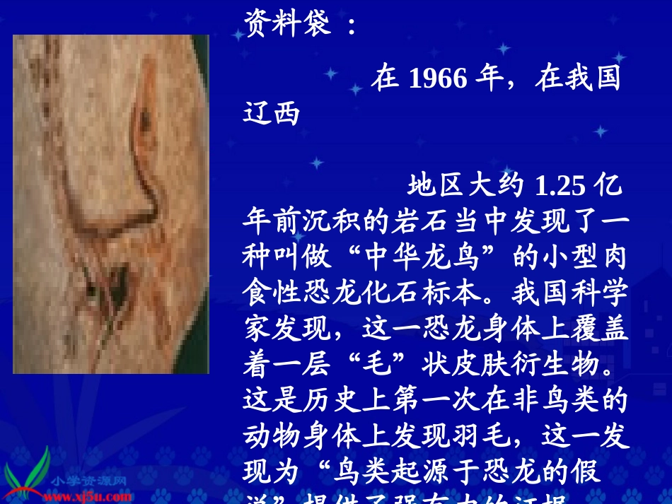 《飞向蓝天的恐龙》教学演示课件_第3页