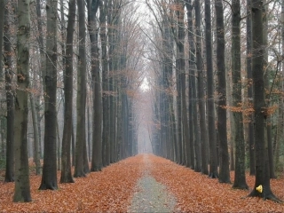 《秋天》正式上课