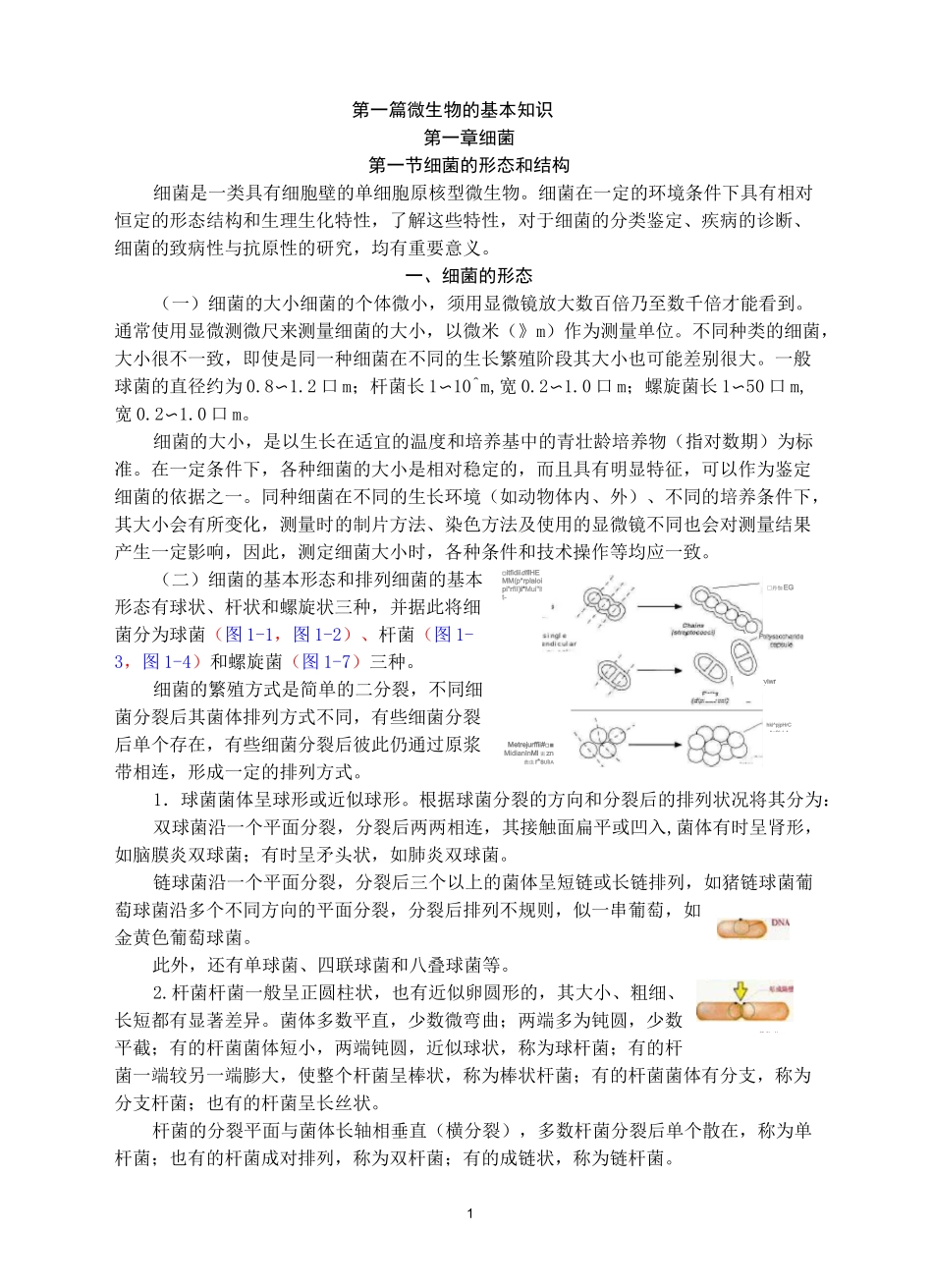 第一节 细菌的形态和结构_第1页