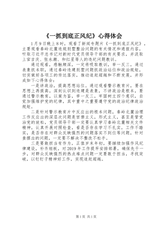 《一抓到底正风纪》心得体会