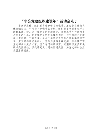 “非公党建组织建设年”活动金点子