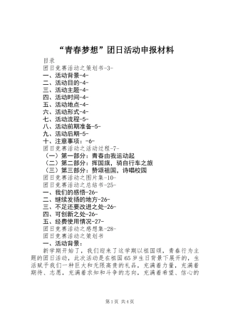 “青春梦想”团日活动申报材料
