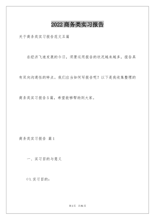 2024商务类实习报告_28