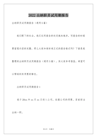 2024出纳职员试用期报告