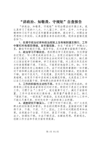 “讲政治、知敬畏、守规矩”自查报告