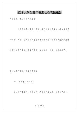 2024大学生鞋厂暑期社会实践报告_5