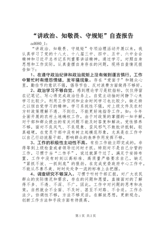 “讲政治、知敬畏、守规矩”自查报告 (2)