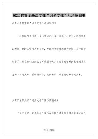 2024共青团基层支部“闪光支部”活动策划书